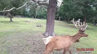 Wildpark Wei&szlig;ewarte
