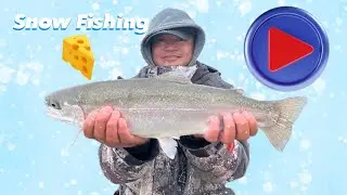 Snow Fishing with Cheese - Fishing at Aurora Reservoir in Aurora, Colorado
