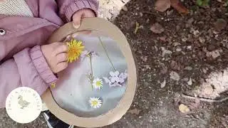 Nature Walk Craft Idea &ndash; DIY Flower Suncatcher for Kids
