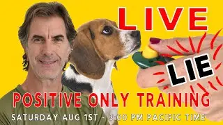 Positive ONLY Dog Training LIE