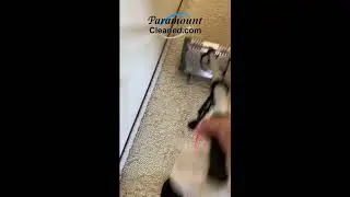 3 Minutes of Dirty Carpet and CRB Action!