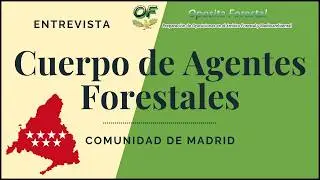 &iexcl;HE APROBADO LAS OPOSICIONES DE AGENTE FORESTAL DE MADRID!