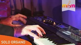 Marcia Nuziale Mendelssohn - Organo per cerimonia, Musica matrimonio in chiesa