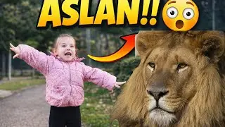 KORKTUU !! Kızımın hayvanat bahçesi tepkisi 🐒 İlk Video 🌸 