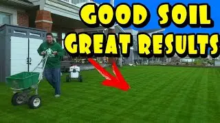 Unlocking Soil Health: The Power of Conditioners and Microbes for a Greener Lawn 🏡 DIY Dad Adventure