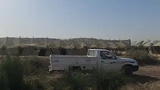 مزرعة مانجو 5 فدان عقد ملك نهائي 1 كم من طريق مصر اسكندرية الصحراوي