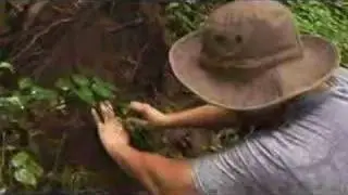 Man vs Wilderness