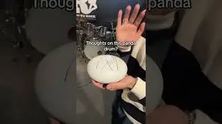 #percussion #musician #random