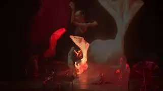 Mercedes Benz Event | Istanbul | Daniel Wurtzel
