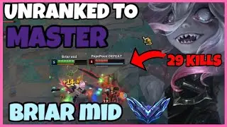 29 KILLS  with Briar  MIDLANE - Perma‑Fighting!