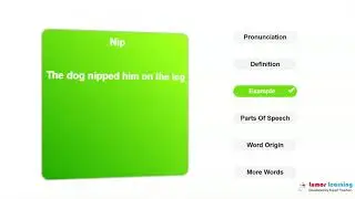 NIP - Definition, pronunciation, grammar, meaning - Practice grade 9 vocabulary