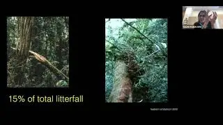 Creating a Trajectory of Research and Broader Impacts in Ecology with Dr. Nalini Nadkarni