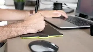 Professional Graphic Artist Stock Video
