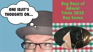 Dog Days of Advent Trivia 2025 Day 7