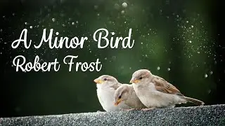 Minor Bird By Robert Frost