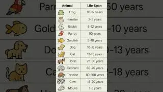 Know life span 🤏 #animals #animalshorts #lifespan #knoeledge #gk #news
