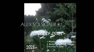 Alex Solskjaer - 4. Electrocat (#1 FLOWER OF OSIRIS, 2023)