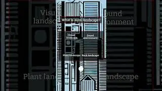 Understanding Sound in the Urban Environment: Acoustics, Perception, and Planning for Livable Cities