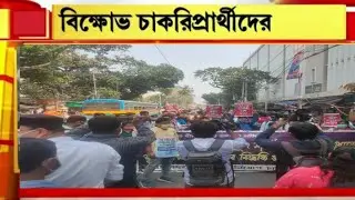 Govt job247