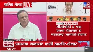 Ashish Shelar | 'भीतीपोटी 2 पक्ष एकत्र येतायत हे महाराष्ट्र जाणतो' | Raj- UddhavThackeray Yuti