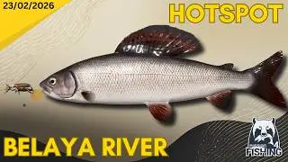 Belaya River Grayling & Trout Hotspot - Russian Fishing 4