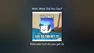 Wait, What Did You Say? - Illiterate (Lol do you get it)
