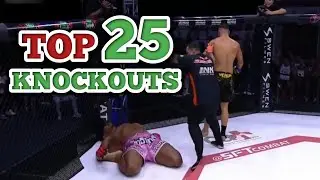 Top 25 Knockouts In MMA Of 2024
