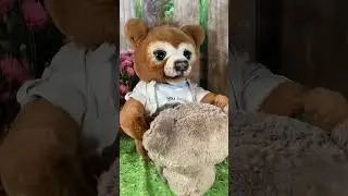 Poe AI Story Bear Tells Cubby Bear a Story Part 1 #short #toys #newtoys #funny #cute #teddy