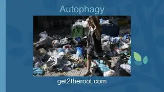Autophagy -- Meaning & Significance (