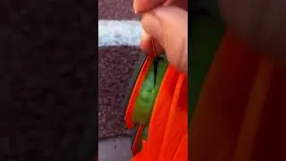 Выталкиваем воздушный карман Nike