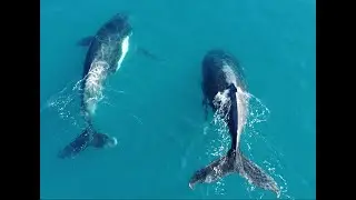 Sailing Rakali from the Kimberley to Dampier Archipelago, 2025