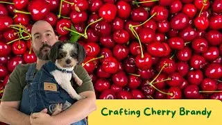 Making a Cherry Brandy - A good drink and a good base for other drinks!
