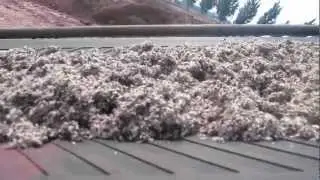 Making Cotton Seed Shell Pellets by XGJ850 pelletizer
