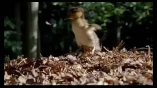 Mark of the Wild Trailer