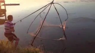 Altini tu gjujt peshk