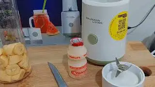 Baumann Living Mix & Go Blender Review