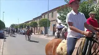 PASACALLES DE CABALLOS FERIA 2024 CALZADA DE CALATRAVA