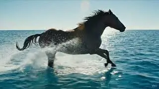 Horse Running In Ocean | Epic Slow Motion Beach Run | Majestic Horse Video