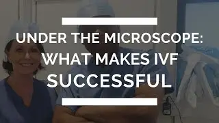 Under The Microscope: What Makes IVF Successful | The Zita West Clinic