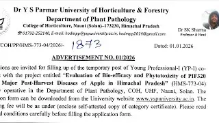 Dr. YS Pamar UNIVERSITY Of horticulture Job Recruitment 2026
