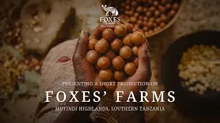 Foxes' Farms | Foxes Safari Camps