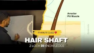 Hair Shaft | Z look 👀 knowledge #shaft #viralvideo #hairshaft #youtube 