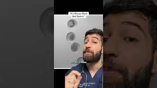 Действительно ли женские яйцеклетки стареют?