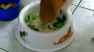 Vegetarian Beagle???