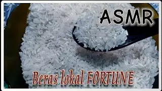 ASMR @ERRCHANNEL155 MAKAN BERAS MENTAH  LOKAL || RAW RICE EATING || SOUNDS RICE || BRAND FORTUNE