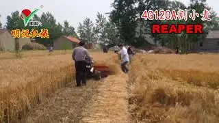 4G120A reaper cutting wheat