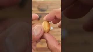Bamboo | Orijin Design Thinking Egg #shortsfeed #shorts