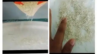 method of separation (winnowing) practical how it's done 👍 share subscribe