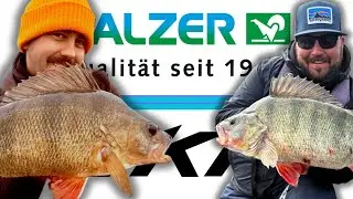 ANGELNEWS 30/25 - Neue Studie zum Kormoran, Hilfe f&uuml;r Enrico, Balzer wieder die Eins, uvm...