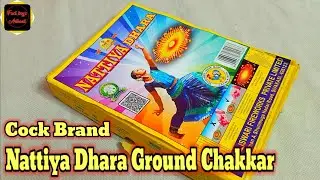 ⚡ Самый большой тест на вращение Ground Chakkar | Специальное предложение от бренда Cock! 🎡